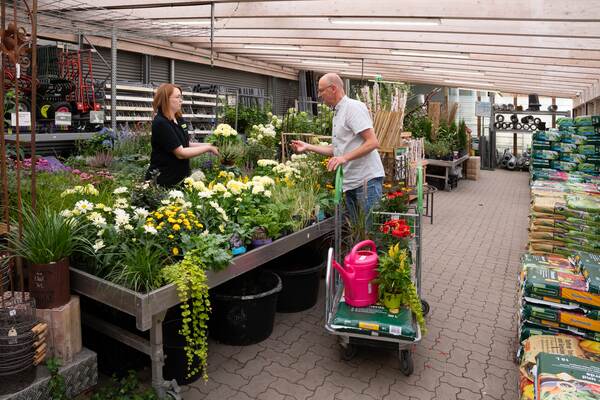 Du siehst einen Mann und eine Frau im Raiffeisen-Markt beim Gespräch über blühende Gartenpflanzen.