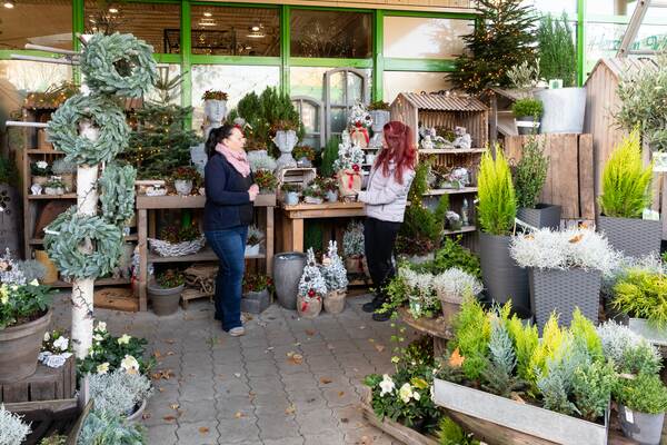 Du siehst den weihnachtlich dekorierten Außenbereich eines Raiffeisen-Markts mit Pflanzen und Kränzen.