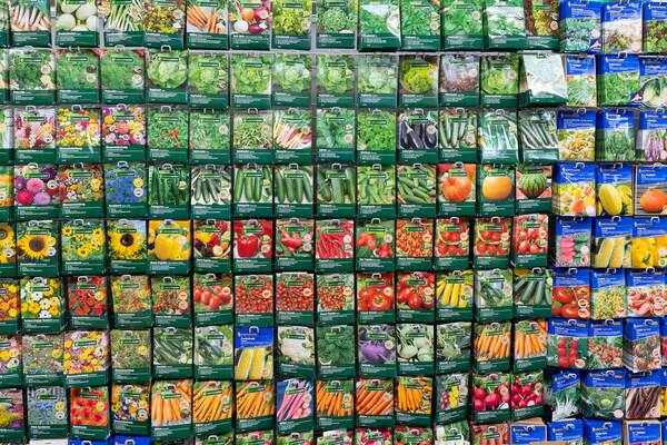 Du siehst eine große Auswahl an Samentüten für Gemüse, Kräuter, Blumen und Salate im Regal.