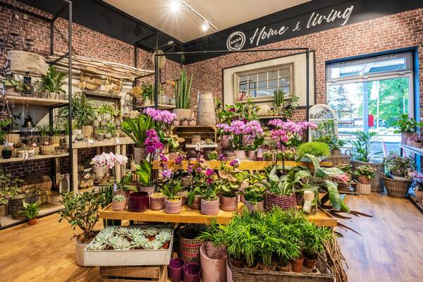 Du siehst ein liebevoll dekorierten Raiffeisen-Markt mit vielen Zimmerpflanzen und blühenden Orchideen.